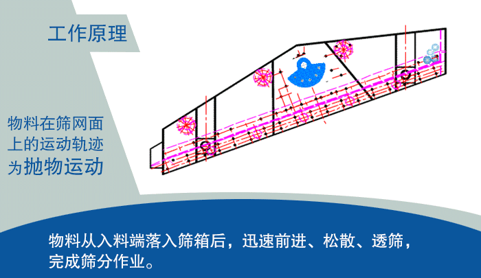 大型小黄片软件免费下载