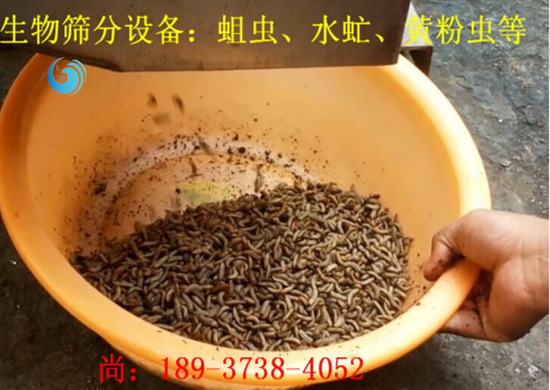 蛆蟲篩選3層小黄片免费观看视频